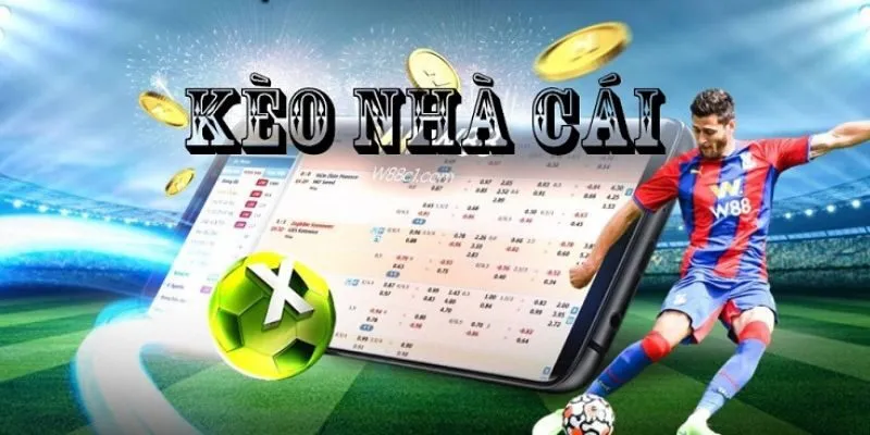 Kèo Nhà Cái Vx88 – Tất Tần Tật Những Thông Tin Chi Tiết